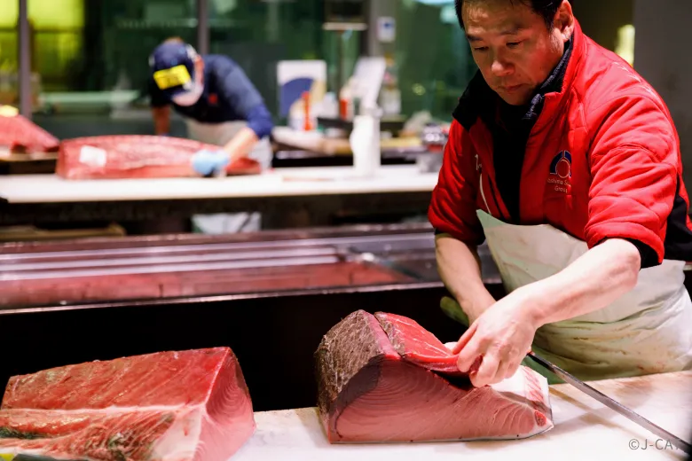Toyosu Market experience Tokyo