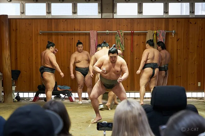 Tokyo sumo private morning practice tour experience