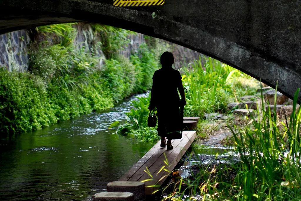 Tokyo to Mt Fuji Mishima Genbe River walk