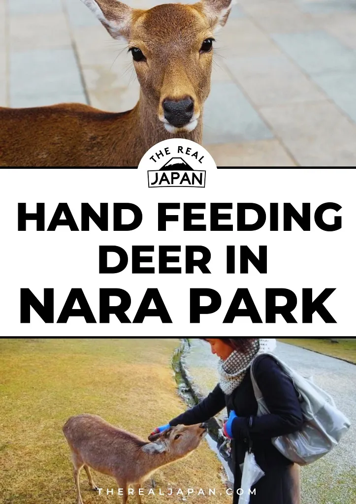 Hand-Feeding- Deer-in-Nara- Park-titlecard-sm