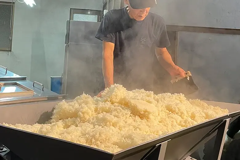 experiences_kyoto_sake-brewery-tour-cooling-rice-mash Inside the active production facility at Sasaki Shuzo in Kyoto, a brewer stands over a large, specialized cooling tray filled with a massive mound of steaming, freshly steamed sake rice, monitoring the automated cooling process before fermentation