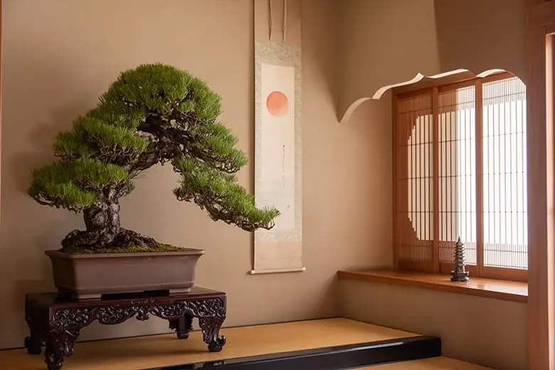 A classic miniature pine tree carefully arranged on an ornate carved wooden table inside a traditional tatami room tokonoma alcove, alongside a custom sun calligraphy wall scroll and a shoji screen window.