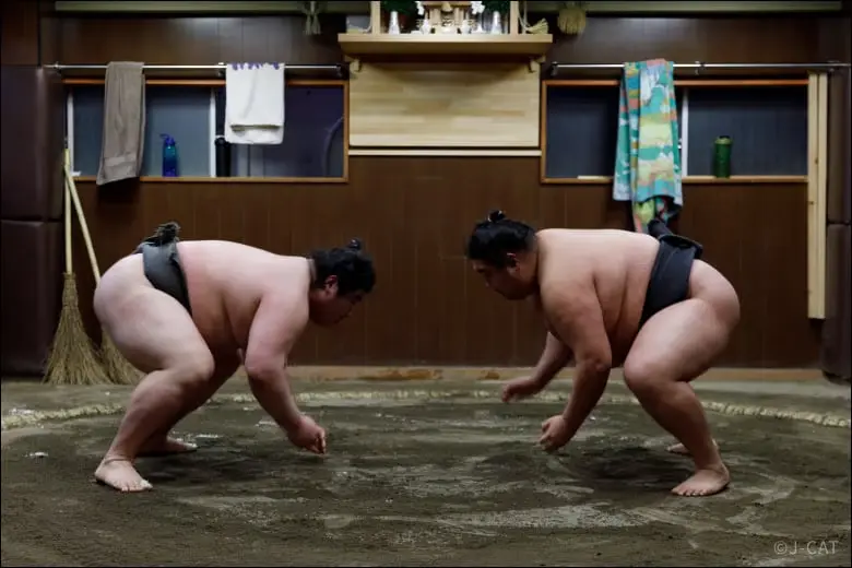 experiences_tokyo_sumo-stable-two-wrestlers-ring Two professional sumo wrestlers crouched low facing each other on the sandy ring (dohyo) inside an active stable, poised to spring forward for an explosive full-contact practice match (moshiai-keiko).