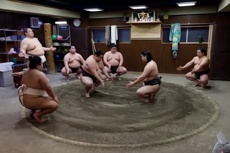 experiences_tokyo_sumo-stable-visit-wrestlers-squatting Group of active professional sumo wrestlers performing traditional squatting and hand-extension purification rituals around the earthen dohyo ring beneath a sacred Shinto altar inside the stable during morning practice.