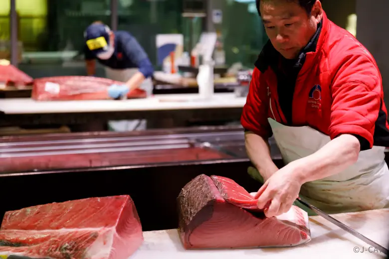 toyosu-fish-market-tour-expert-fishmonger-cutting-tuna An expert intermediate wholesale merchant (nakaoroshi) wearing a red jacket carefully slices through a premium, massive block of fresh bluefin tuna on a clean white preparation block on the active Toyosu Market wholesale floor