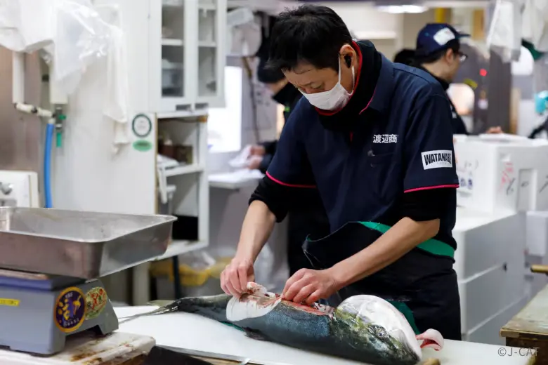 toyosu-fish-market-tour-expert-fishmonger-filleting-whole-fish An expert intermediate merchant wearing a protective face mask and a dark uniform cleanly handles and fillets a large, fresh whole silver fish on a white cutting station at Toyosu Market