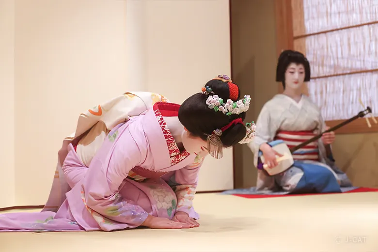 experiences_kyoto_private-geisha-entertainment-dinner-gion-kyoto_geisha-playing-shamisen-maiko-bowing An apprentice maiko in a pink kimono performing a formal seated bow (aisatsu) on the tatami floor while a geiko plays the shamisen in the background inside an exclusive Gion teahouse banquet suite.